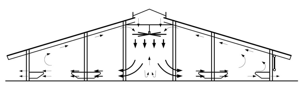 Схема движения воздуха в коровниках